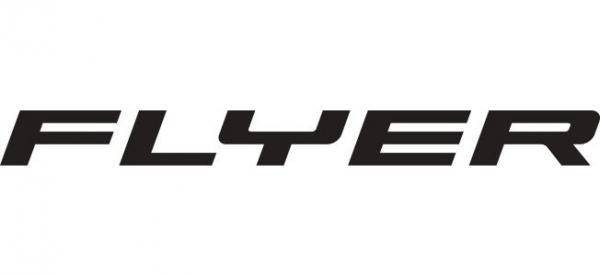 Flyer_logo